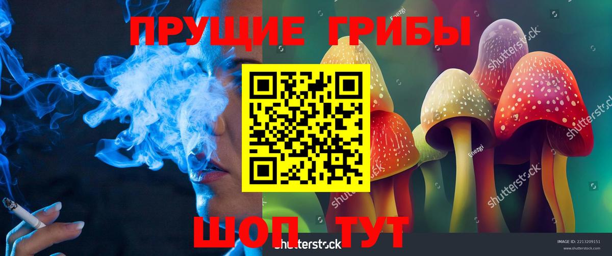 Лесозаводск  Псилоцибиновые грибы мицелий  Вход с VPN 