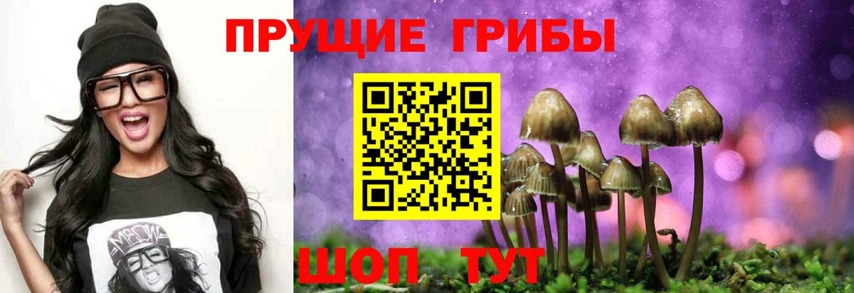 Псилоцибиновые грибы мицелий Лесозаводск