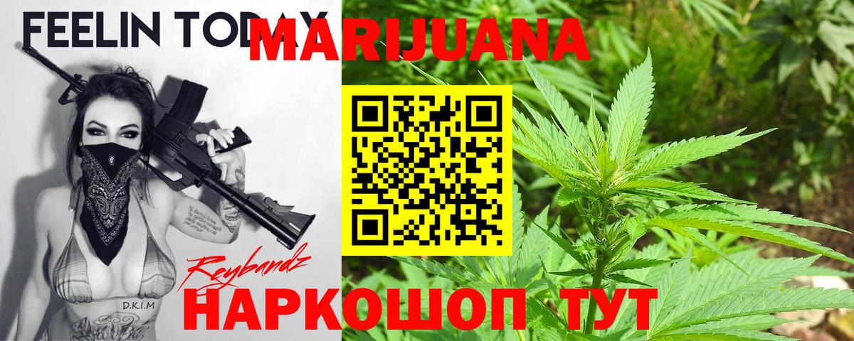 Конопля гибрид Лесозаводск